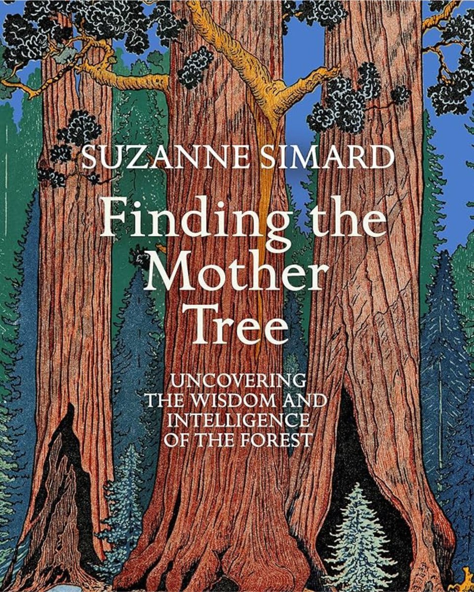 HitPlay Productions tweet media