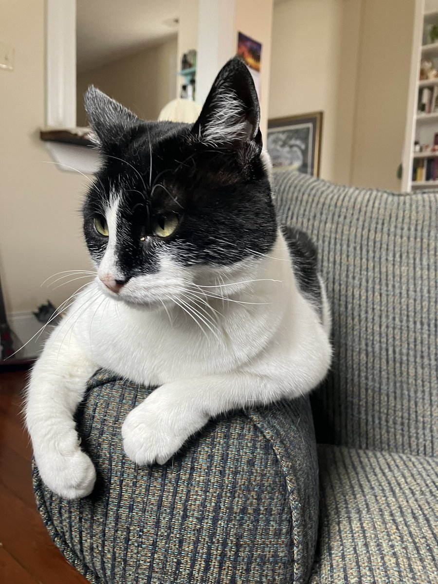 🅱️ABKA !! tweet media