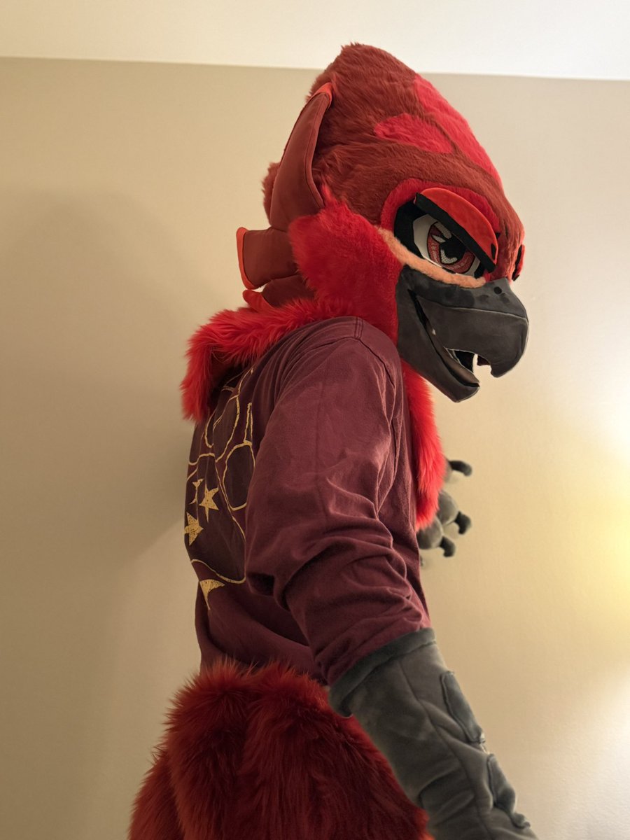 Starfall Costumes tweet media