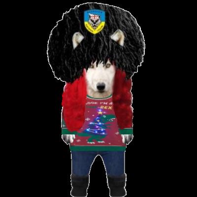 vtn_lapanen's tweet image. Christmas is coming, and it&apos;s time to get those (ugly) sweaters on.
With a donation of $10 to @georgian_legion you can get your own.
#FeedTheWolves ❤️🐺