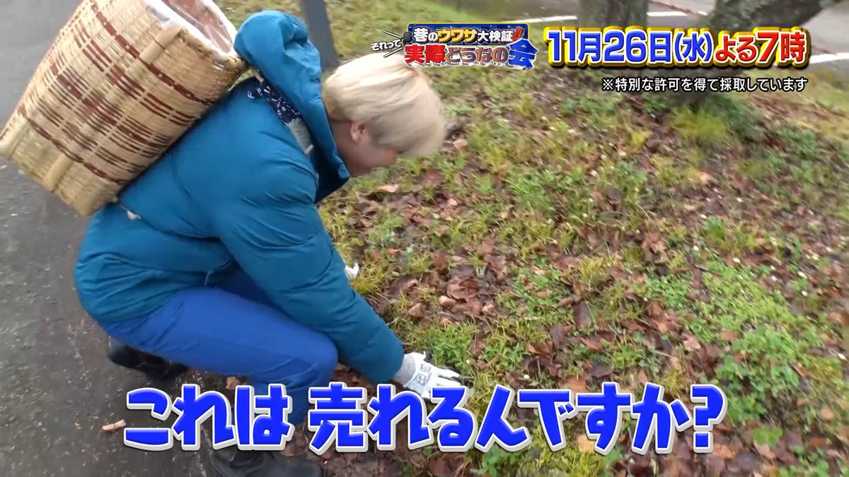 dounanokai's tweet image. #佐々木大光（#KEYTOLIT）が
秋の自然を拾いまくってお金💴にかえる💪
無我夢中で拾い続けた結果は…いかに⁉️
#それって実際どうなの会