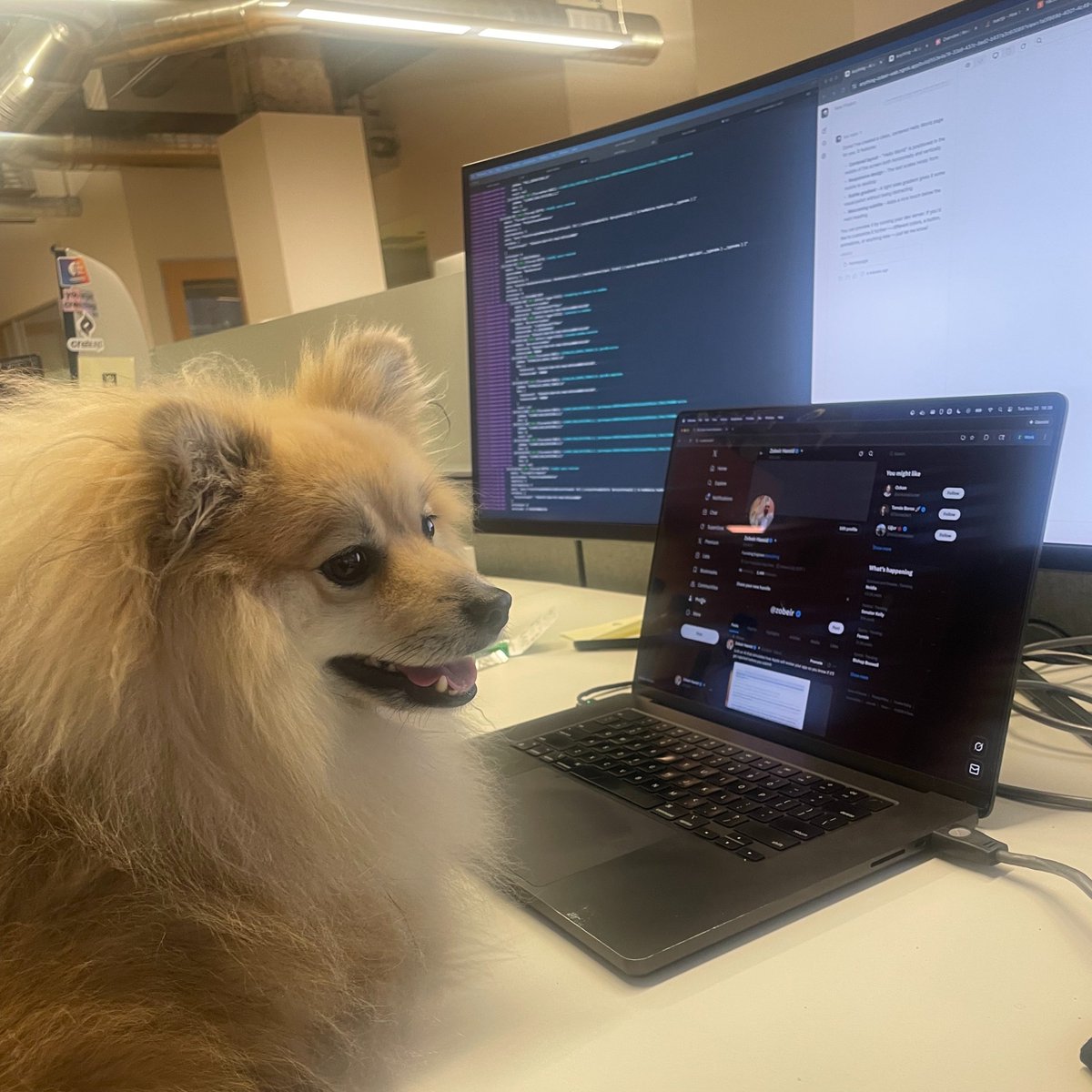 Zobeir Hamid tweet media