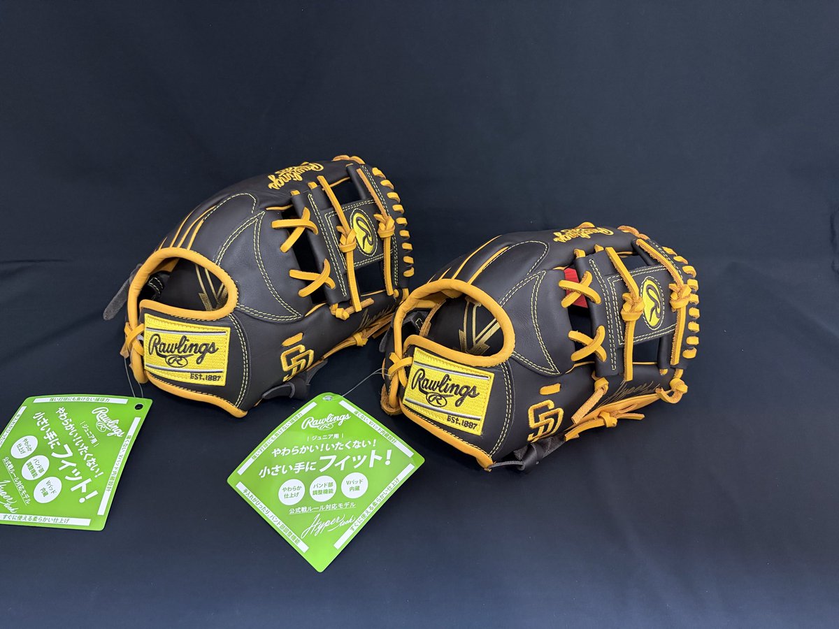 みしです！新品未使用！ 【DLスポーツ　限定レイボーシリーズグラブ】 CHICK SHOP！ DLスポーツ 限定レイボーシリーズグラブ】 スティーブン