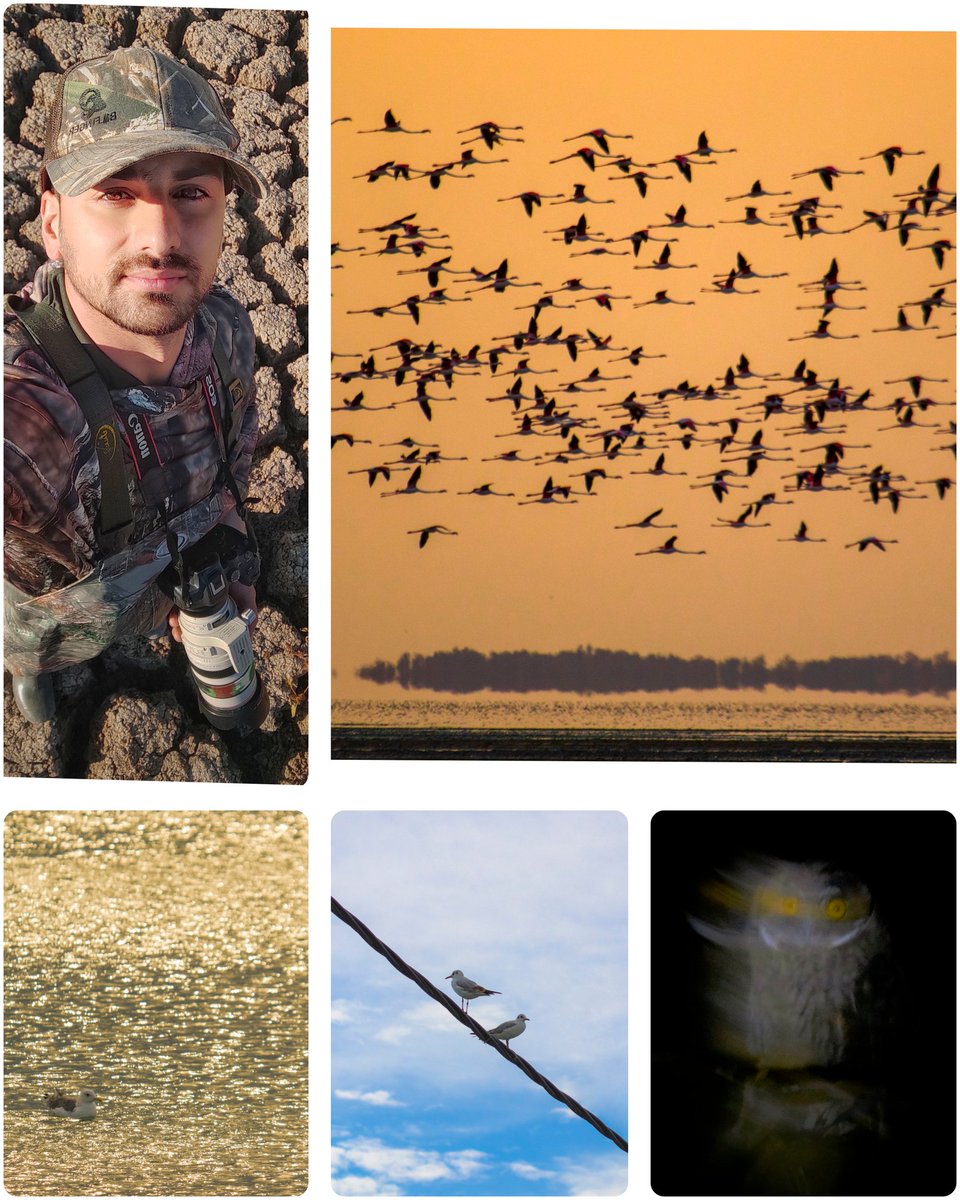 javad_rostami_a's tweet image. Good morning #XRPCommunity ❤️
I hope you enjoy my wildlife photography collection.
Please take a look at the behind-the-scenes moments of my wildlife photography journey.
xrp.cafe/collection/jav…