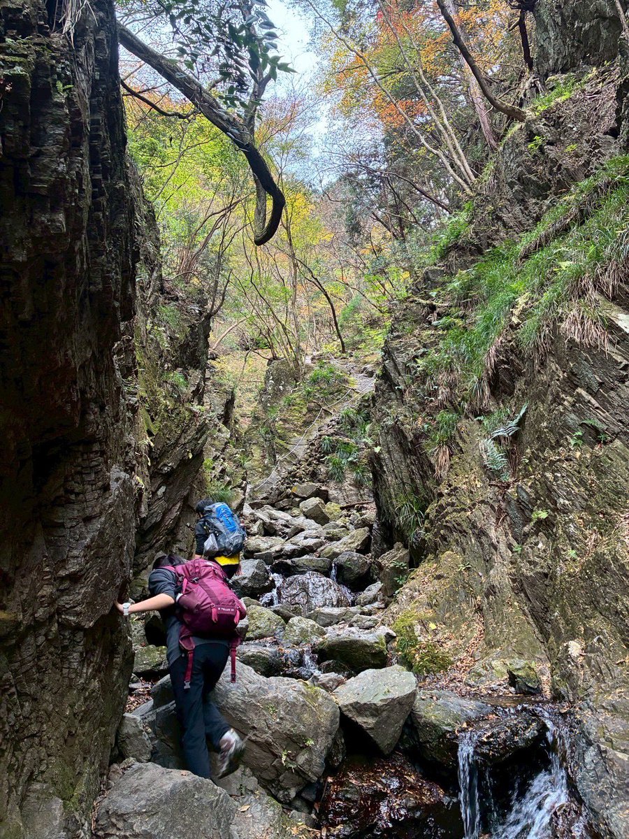 HoseiTanken's tweet photo. 11月16日に埼玉県は棒ノ折山に行ってきました。
棒ノ折山は沢沿いを歩くコースが人気の山で、さらには我々が登った時期は、木々が赤や黄色に色づいており、沢山の登山者で賑わっていました。
帰りは登山口近くの温泉で一休み。心も体も癒された活動となりました！
たまにはこういうのもいいよねー https://t.co/9As8aFqCGw