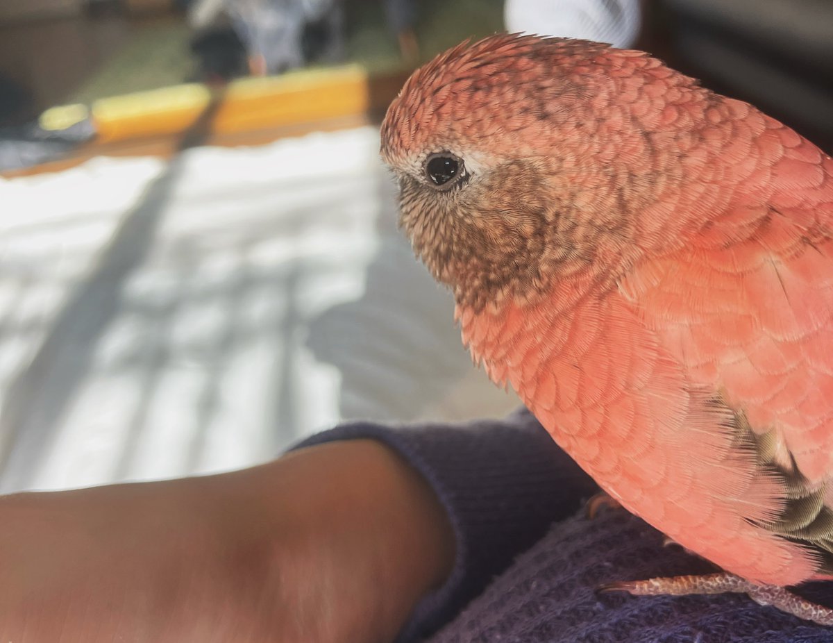 おめめがうるうるキラキラでかわいいな