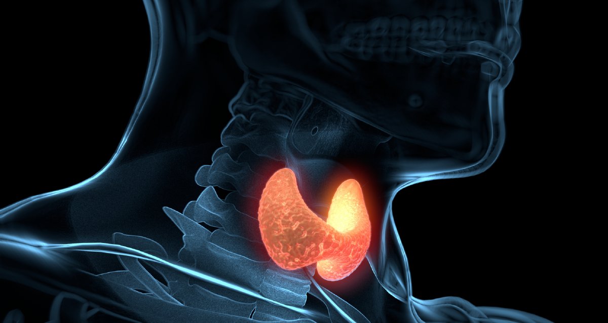 WebMD's tweet image. Did you know your thyroid regulates your metabolism? It does that by making hormones that affect almost every aspect of how your body performs. Learn more about your metabolism: ms.spr.ly/6018tn1Rp