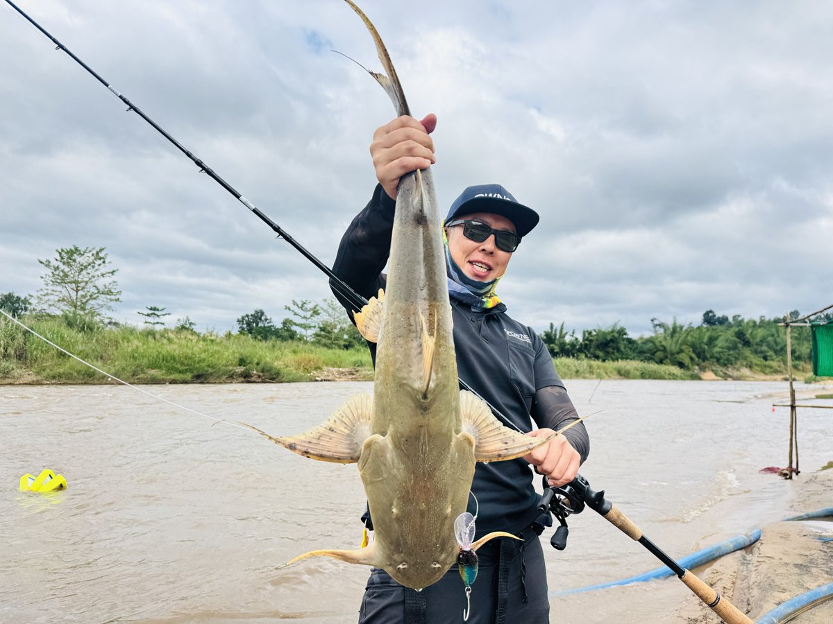 siegsige's tweet photo. 今回の釣行はタイ🇹🇭とミャンマー🇲🇲の国境沿いを流れる川へ行って参りました。
狙いはバガリウス。今回はルアーで攻めるスタイルでしたが、メッチャ引くからチャドーの好敵手になりそうな魚種だった。シーズンは11月から3月(ベストは11月12月)
1〜3月は釣りやすくなるがサイズ落ちる
夢釣行で放送します https://t.co/cabfjEZmQ2