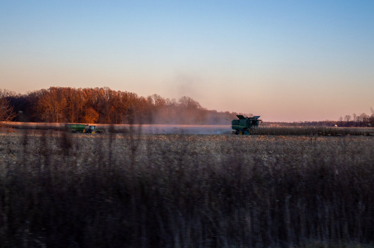 desolangels's tweet image. 