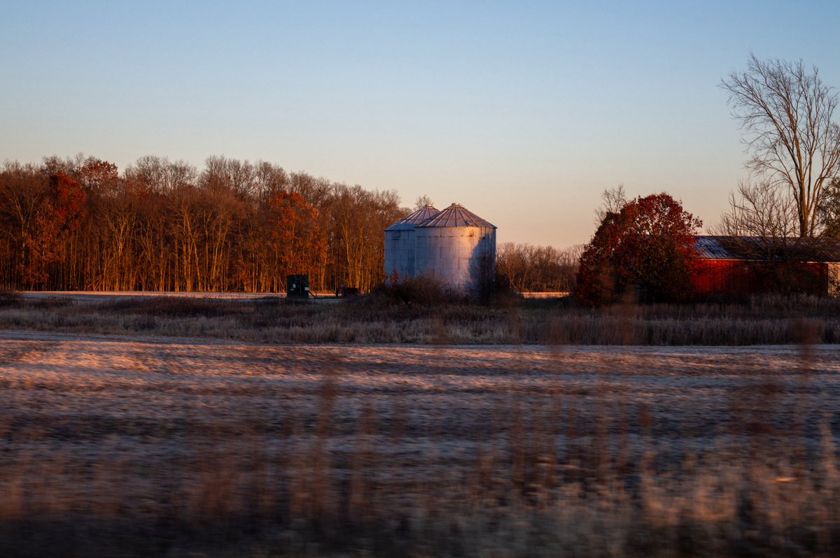 desolangels's tweet image. 