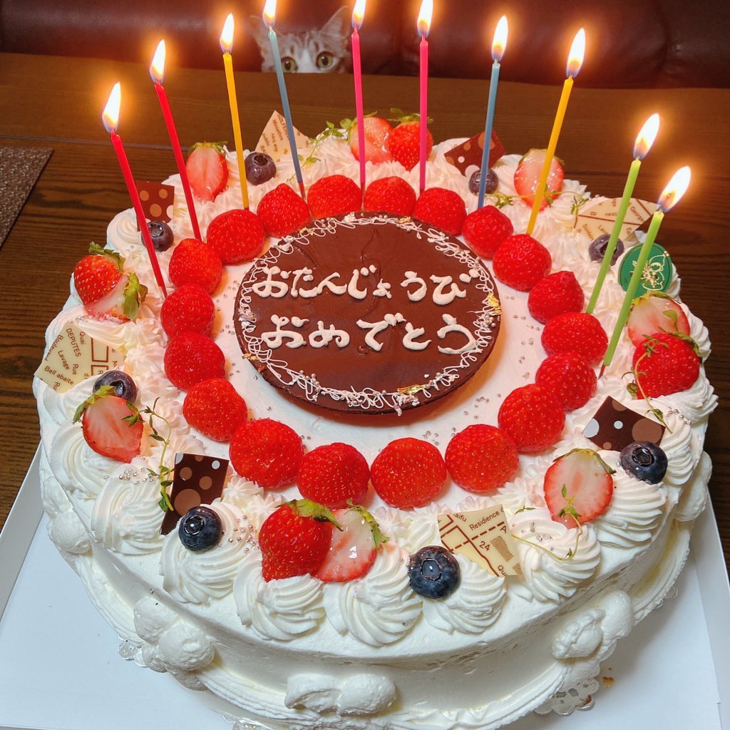 airi_____'s tweet photo. これ猫さんも見たい…うちは無理なので… https://t.co/U4B7C0cIGF