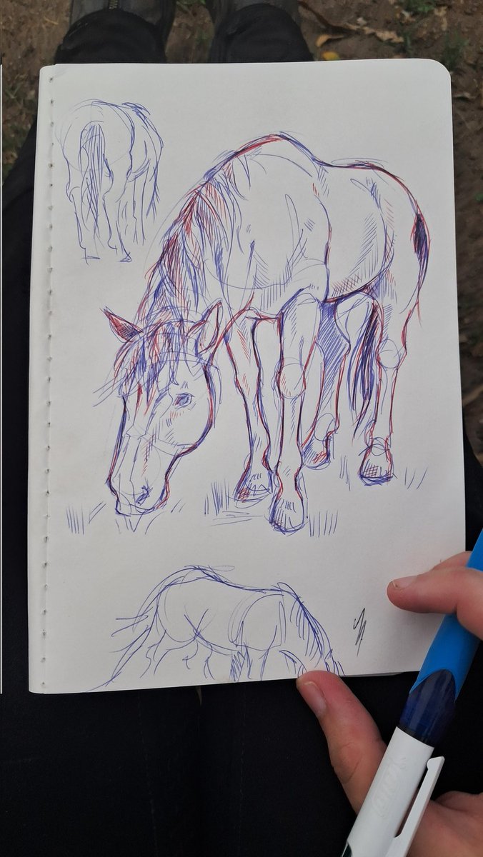 fishietwo's tweet photo. drew my horsey while sitting in his paddock https://t.co/m9cZRj9nDD