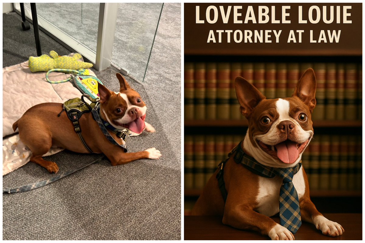 Hey <a href="/BartDurhamLaw/">Bart Durham Injury Law</a>, I’m a fan of your new Attorney at Paw/Law - Loveable Louie! 🐶 

Loveable Louie will be specializing in treat negotiations, squeaky-toy disputes, and matters of extreme cuteness.