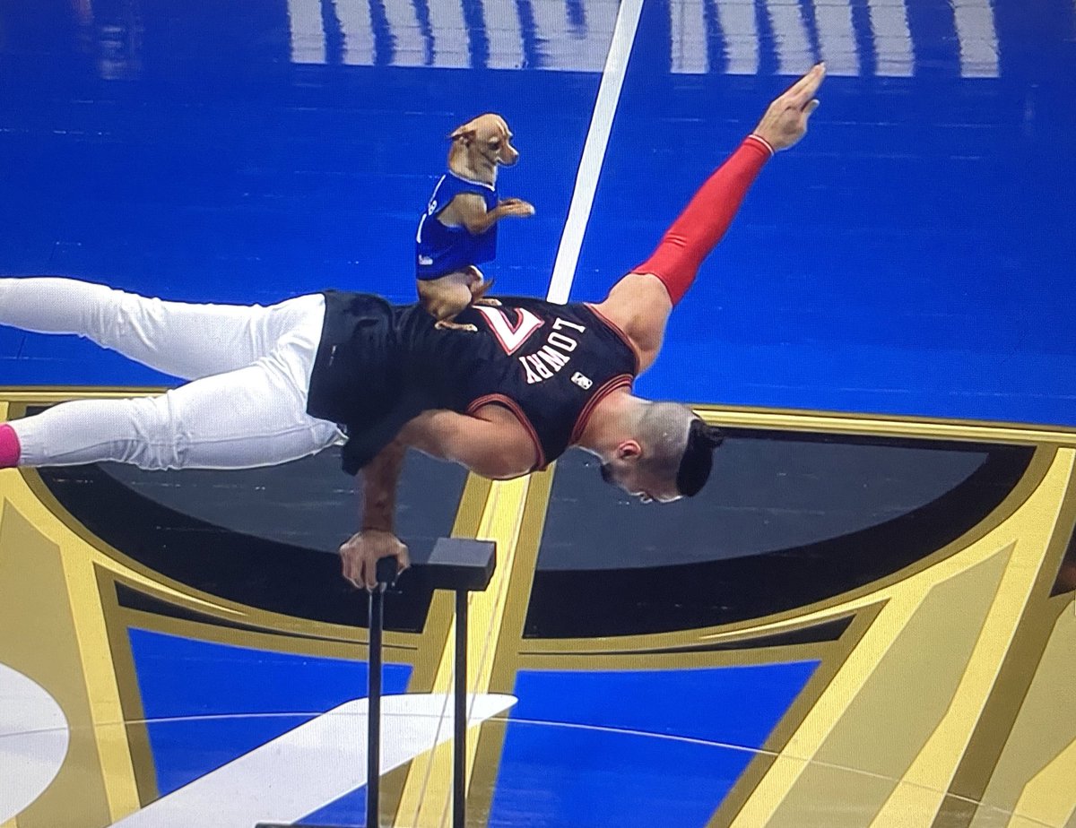 Necesito que Scooby sea libre no tiene por qué ser un perro acróbata para el entretenimiento de obesos