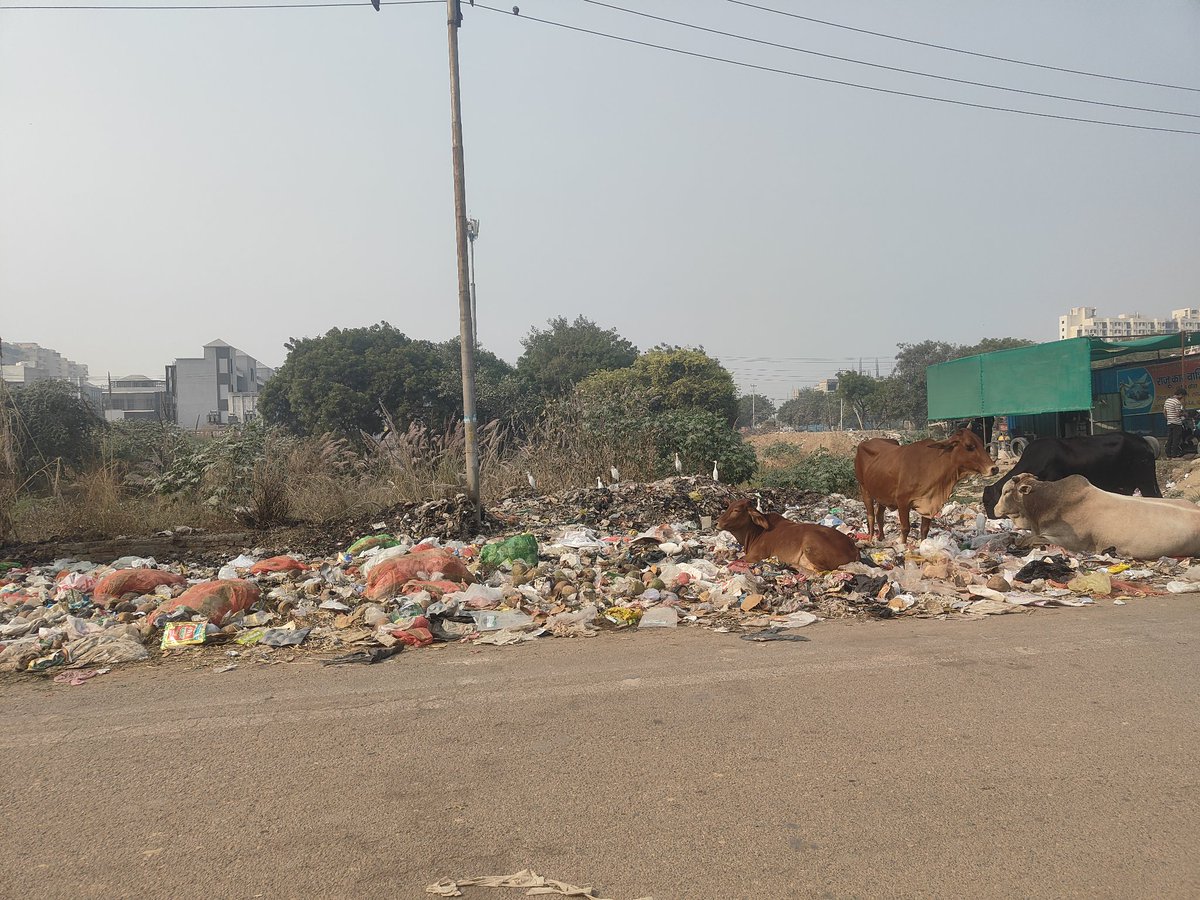 rajan tripathi tweet media