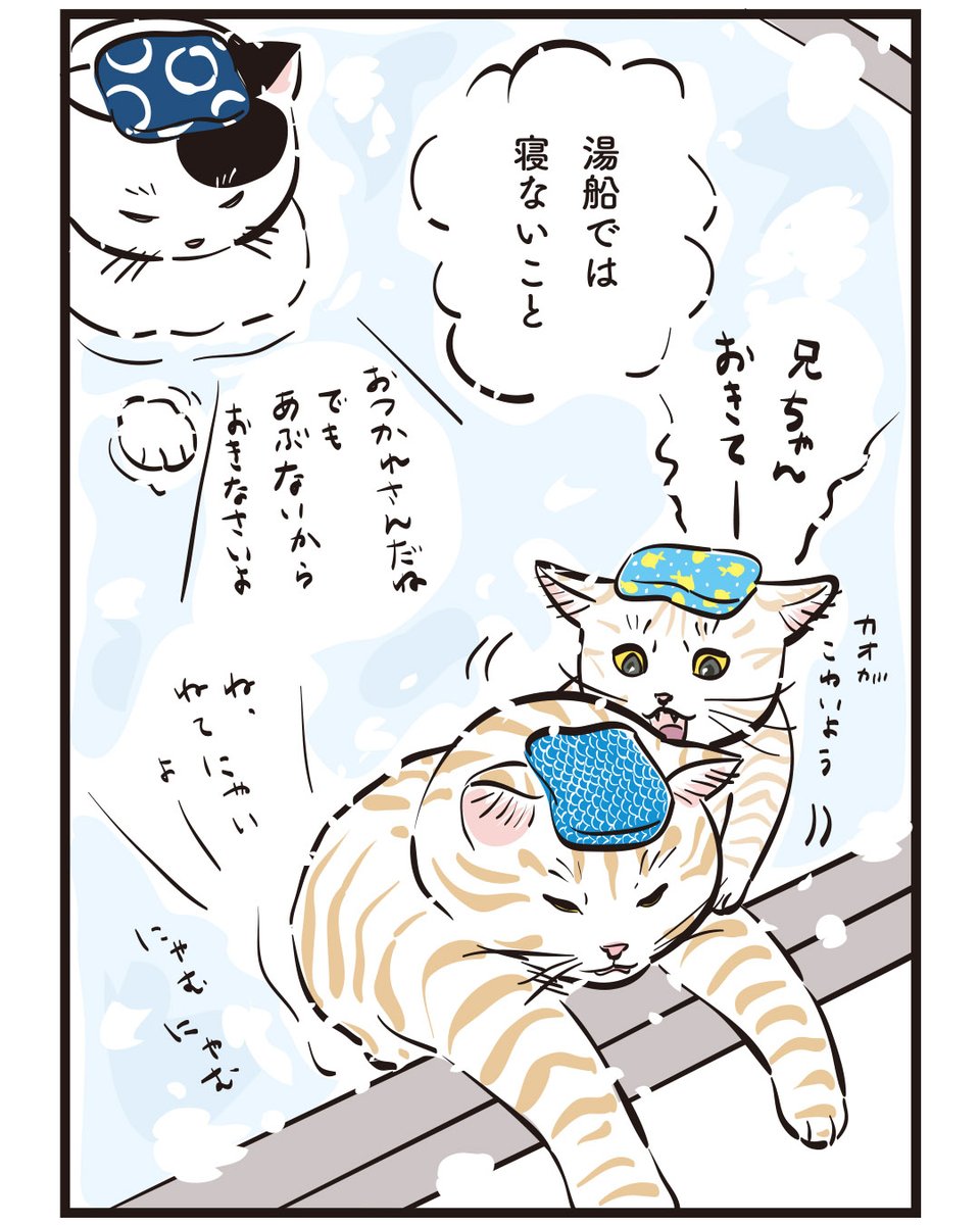 【ねこぷー】4月26日 ×2 Lovely にゃんフェスタ in 東京 2026 | 【ラブにゃん】猫ちゃんと一緒