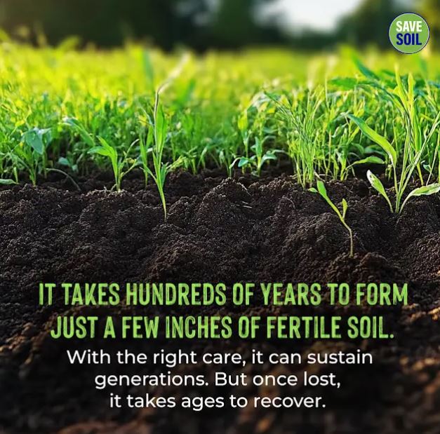 DharindaSukar's tweet image. Contribute caringly with #commitment, not with conquest. Soil is our common #ground—the vital connection for all of us. Let us care for it for a healthy future. A desert offers no food; healthy soil delivers food. #SaveSoil #ConsciousPlanet. Let Us Make It Happen. @SadhguruJV