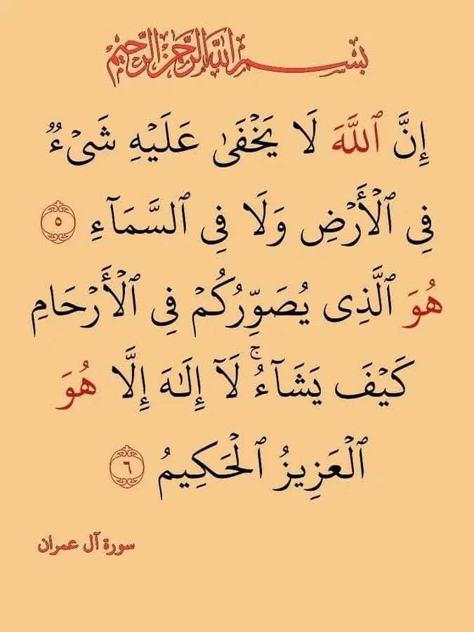 Hasseb (@hassebhh67) on Twitter photo 