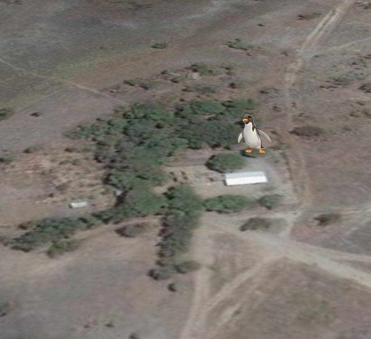 Check" <a href="/dcabellor/">Diosdado Cabello R</a> 
epa le llevo unos Cocosettes a los muchachos .
ya estoy a unos minutos :)