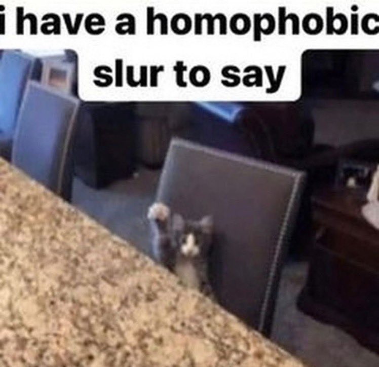 ShitpostGateway (@shitpostgate) on Twitter photo 