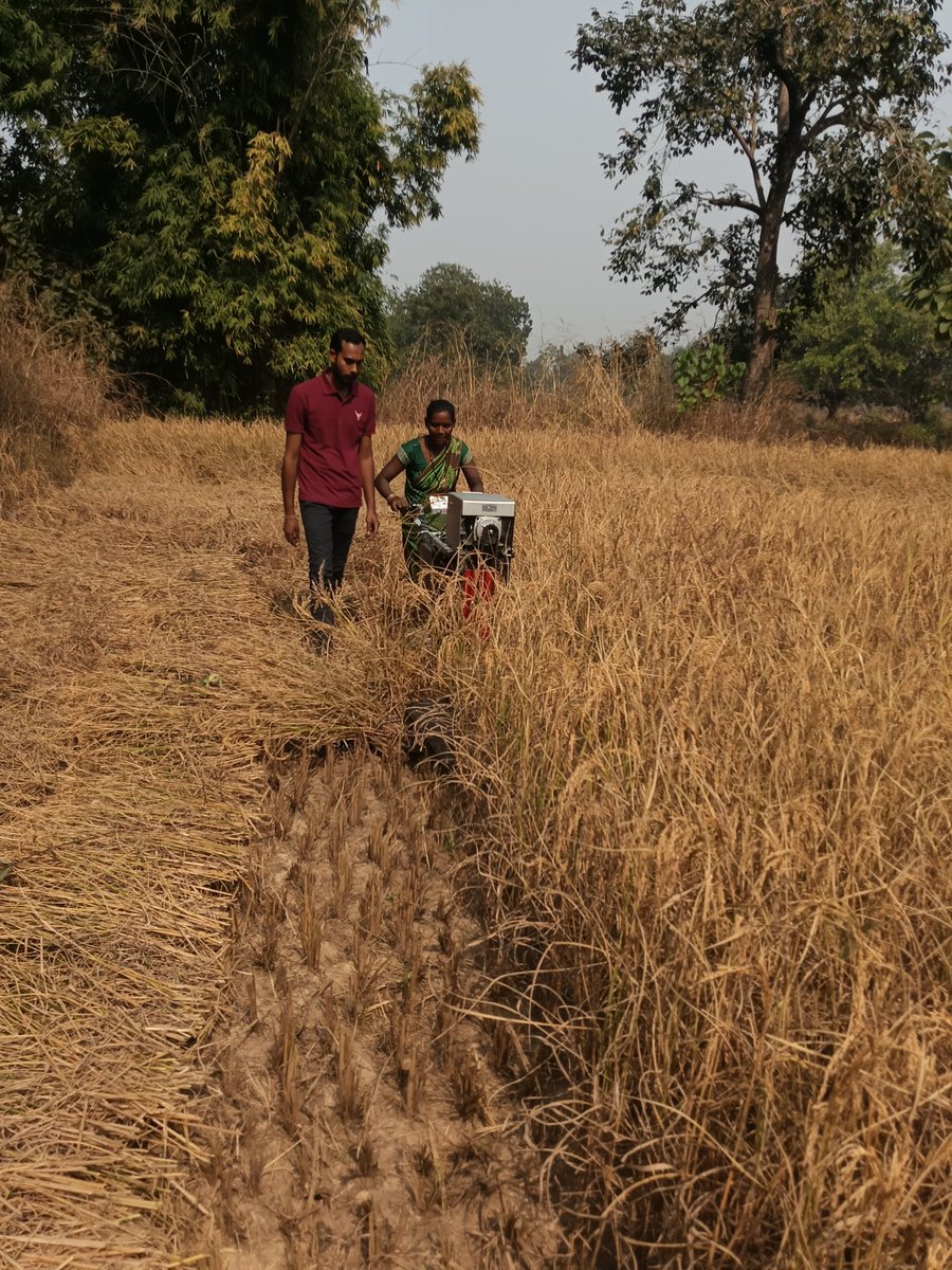 stepupify's tweet image. Live demonstration of the Stepupify Battery-Operated Electric Reaper Attachment for Multi Utility Farming Tool by @stepupify  conducted in #Sundargarh, #Odisha for #paddy harvesting on 23/11/2025

@ajitkrbgp @SocialAlphaIN @sabagris