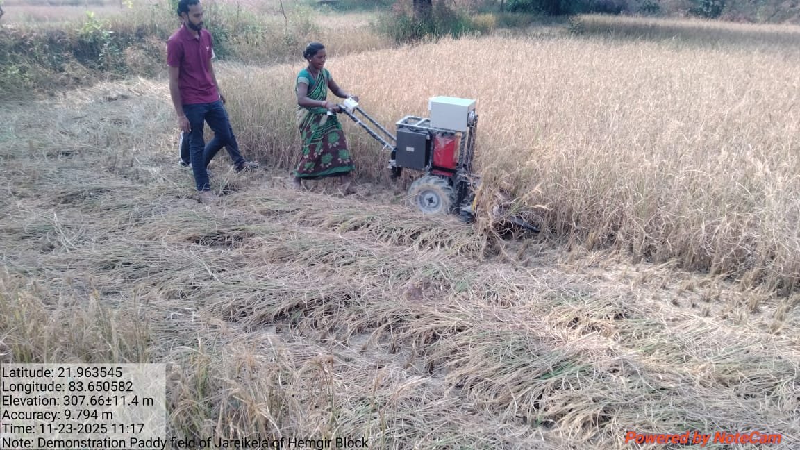 stepupify's tweet image. Live demonstration of the Stepupify Battery-Operated Electric Reaper Attachment for Multi Utility Farming Tool by @stepupify  conducted in #Sundargarh, #Odisha for #paddy harvesting on 23/11/2025

@ajitkrbgp @SocialAlphaIN @sabagris