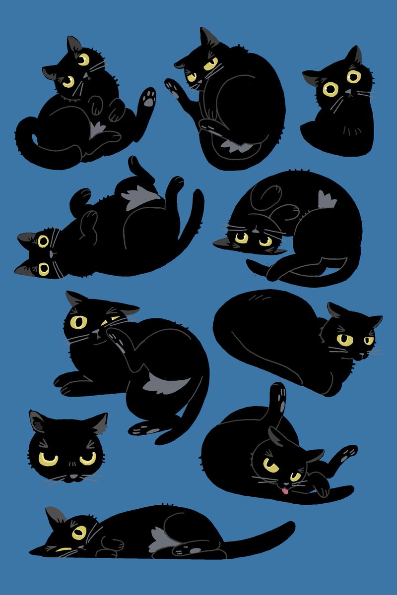 🐈‍⬛🐈‍⬛🐈‍⬛