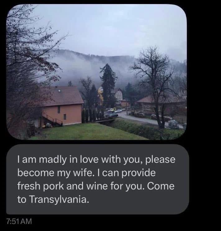 spookyxxboobs's tweet image. dracula gets it