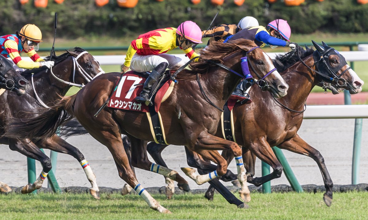 le_courage0610's tweet photo. コンスタントに走り続けてG2を2勝、G3を3勝

鮮やかな栗毛の馬体で贔屓の一頭でした

トウシンマカオ号、お疲れさまでした
種牡馬入りおめでとうございます

2024/9/8 セントウルステークス https://t.co/6ppm4k3D0x