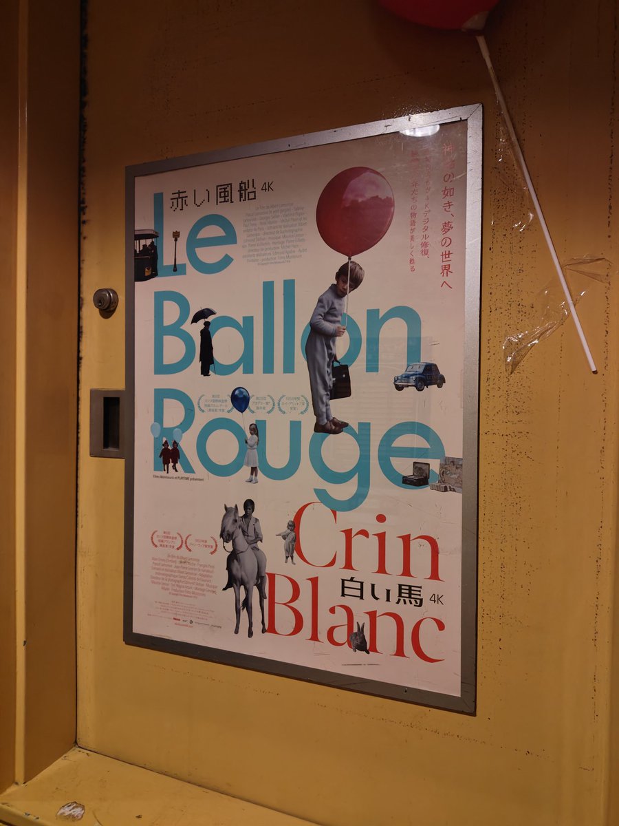 これから「赤い風船/白い馬」(4K上映)を観ます〜。