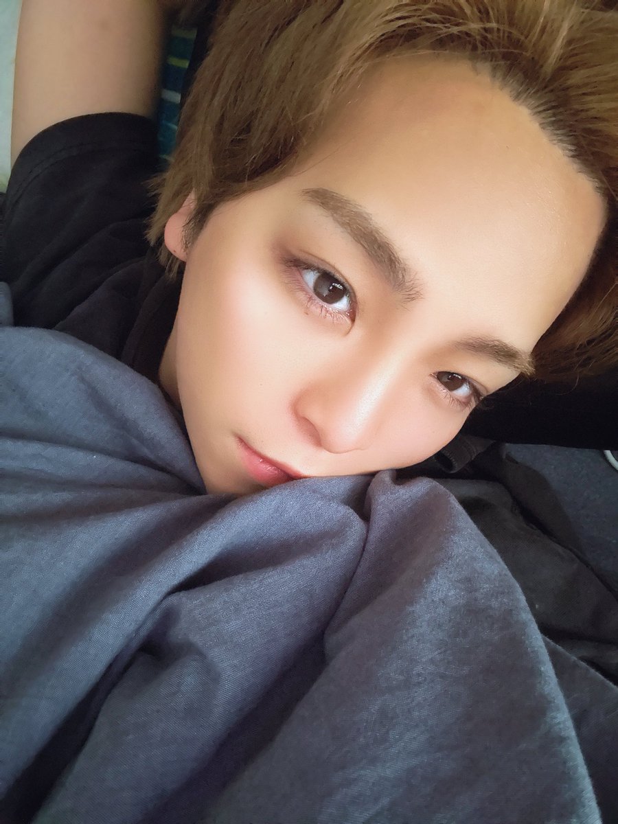 あおいくん(MeseMoa.) (@nicodance_Aoi) / Posts / X