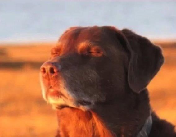 glyndis (@glynckt) on Twitter photo 