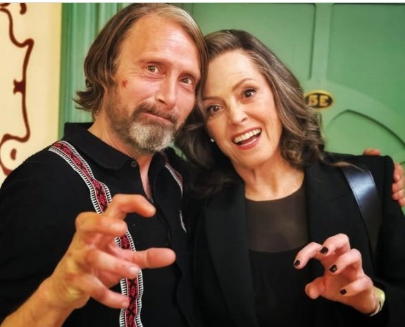 Mads Always tweet media