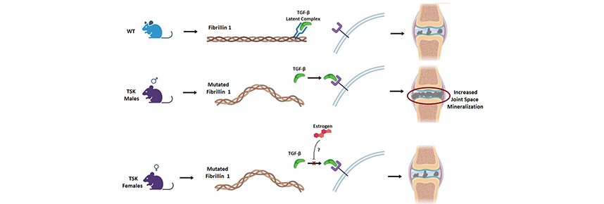 eCM Journal tweet media