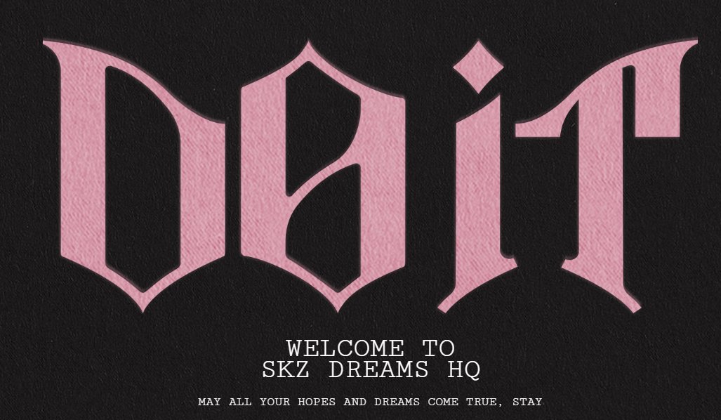 Stray Kids tweet media