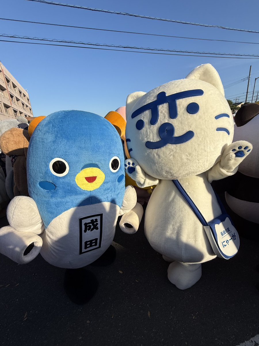 くっきー (@sunflower931220) / Posts / X