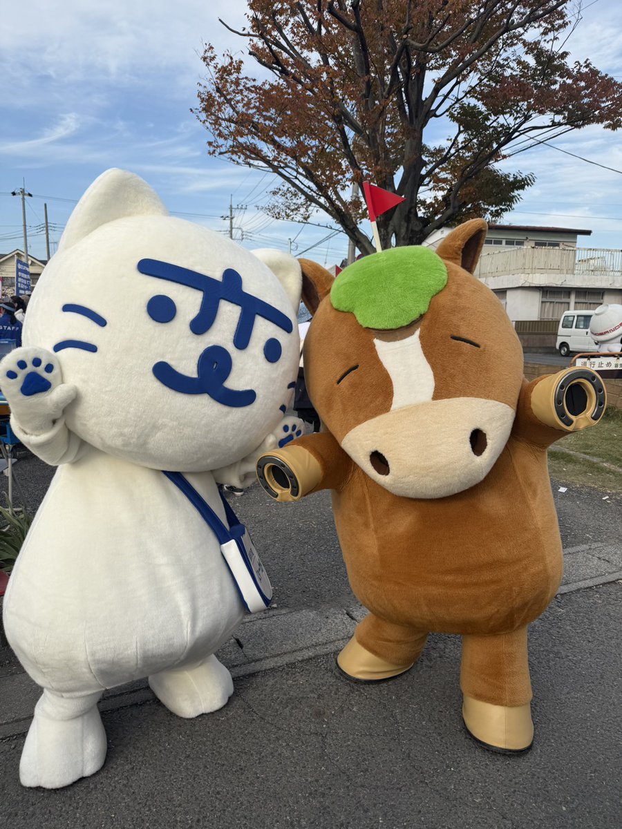 くっきー (@sunflower931220) / Posts / X