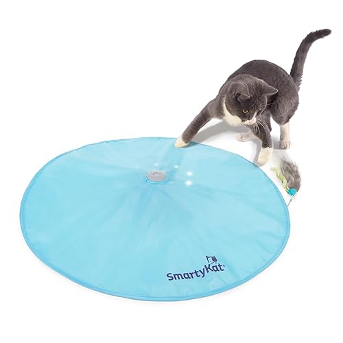 I just received SmartyKat Hot Pursuit Cat Toy Concealed Motion Toy, Blue - Hot Pursuit from th3_m4j0r via Throne. Thank you! throne.com/velocitish #Wishlist #throne