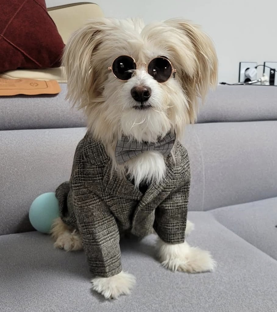 <a href="/BERRY_VERYGOOD_/">🍓베리베리좋은날🍓</a> 생일 축하노래 내가 해주께. 나 미사리에서 기타치고 노래했었어