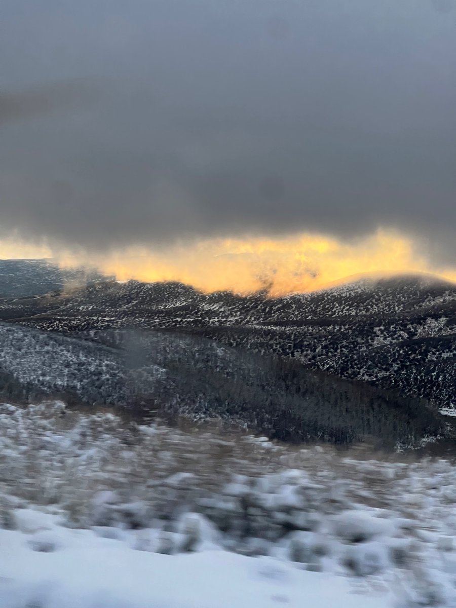 NotForResale's tweet image. High altitude desert winterification is always going to be one of the things I cherish in life