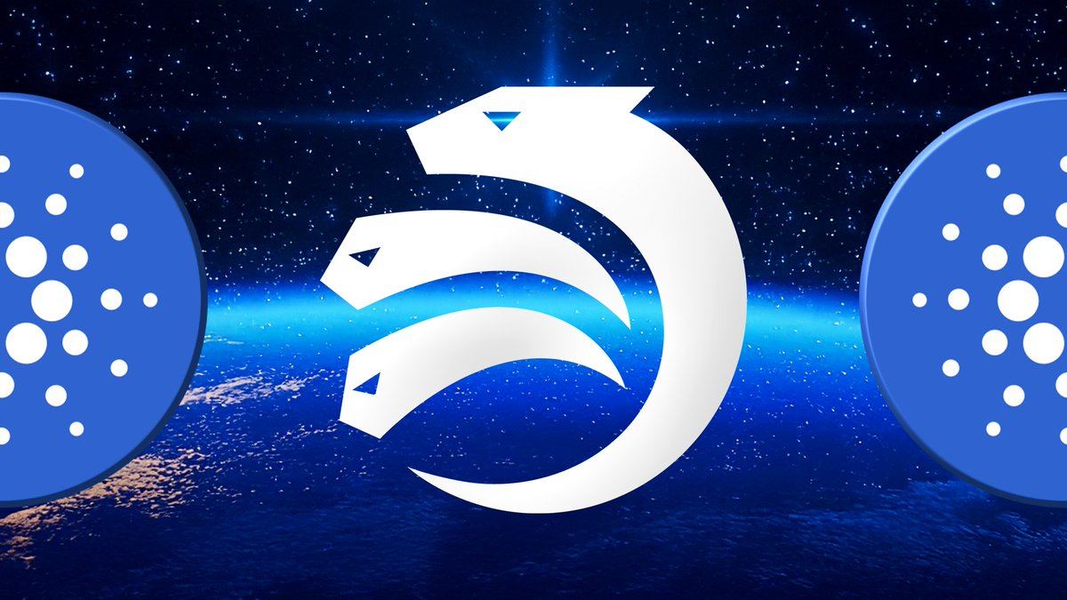Daily Cardano News! 🗞️ 