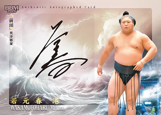 【直筆サイン】60人　大相撲パンフレット　1998年三月場所