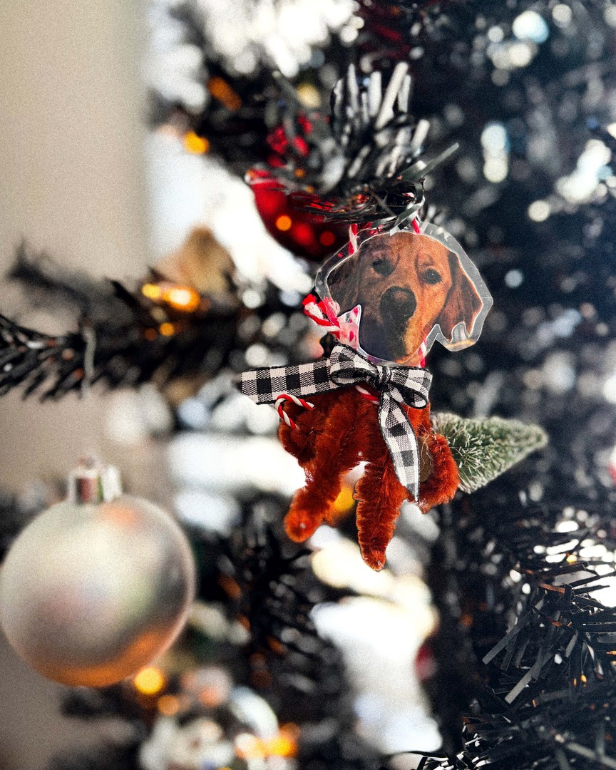 obrienetal's tweet photo. Christmas has arrived at OEA.  🛷🌴 https://t.co/LNiQDXtnpy
