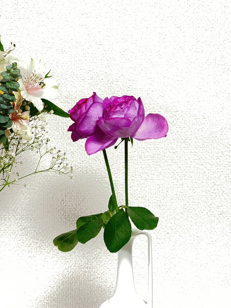 minaimasashi's tweet photo. 11月22日
えりさんが花をくれた。

何にも考えてなかったけど、いい夫婦の日だって教えてもらって、その気遣いに嬉しくなった。

まだまだ意識してないこと、知らないことをこうやって見つけていける人生って、楽しいって気付ける瞬間でした。

#1122のひ 
#いい夫婦の日 https://t.co/fW7bqvv4wy