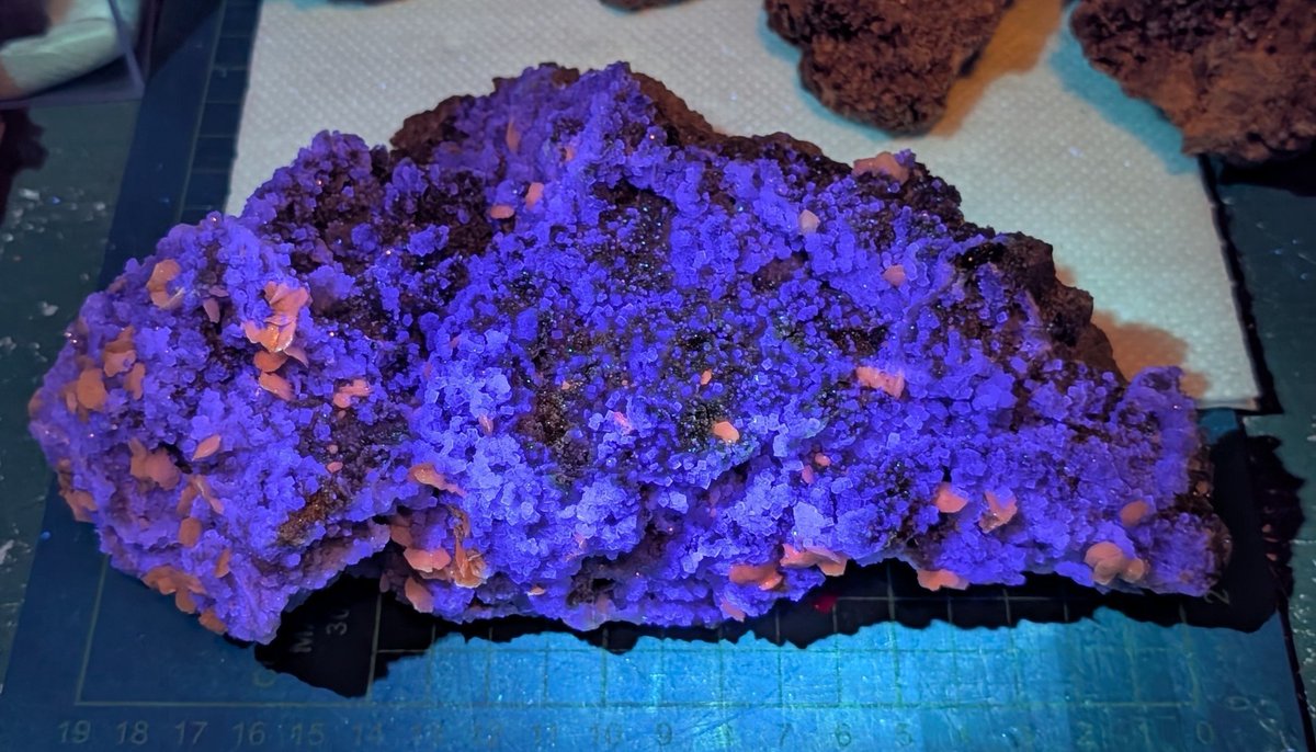 E3%82%AF%E3%83%A9%E3%82%B9%E3%82%BF%E3%83%BC