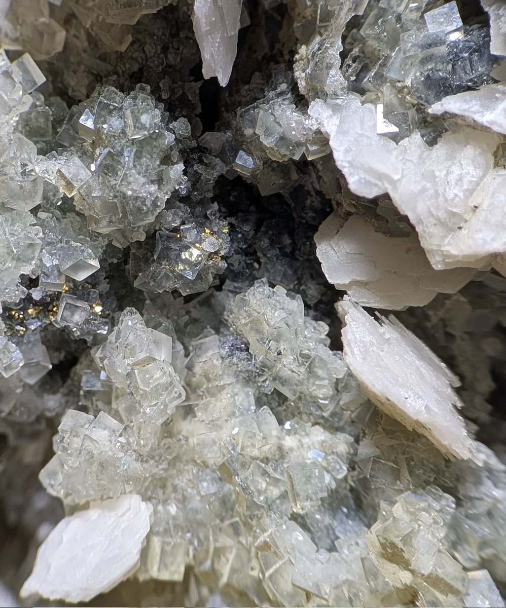 E3%82%AF%E3%83%A9%E3%82%B9%E3%82%BF%E3%83%BC