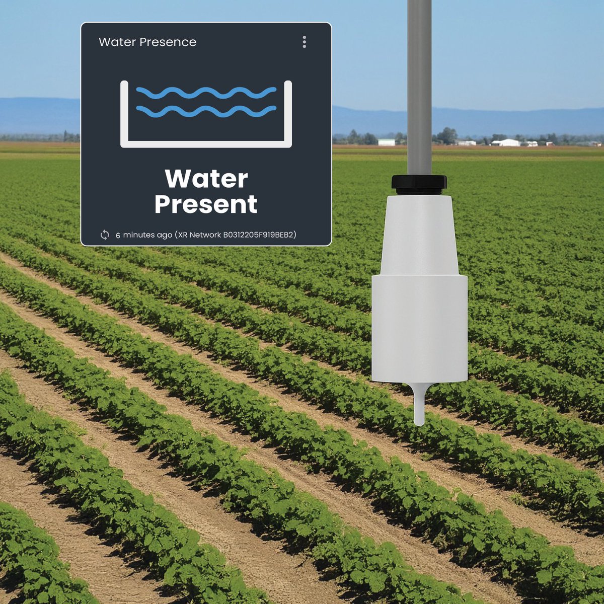 _INCYT's tweet image. Make every irrigation event count. Our Water Presence Sensor lets you know when water reaches the end of the furrow. 

No more guesswork and no more early-morning checks. Just timely cut-off decisions that save water, time, and stress. Check it out through the link in our bio!