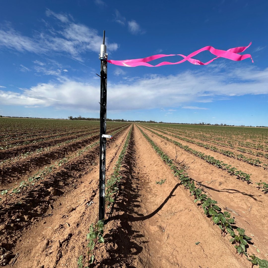 _INCYT's tweet image. Make every irrigation event count. Our Water Presence Sensor lets you know when water reaches the end of the furrow. 

No more guesswork and no more early-morning checks. Just timely cut-off decisions that save water, time, and stress. Check it out through the link in our bio!