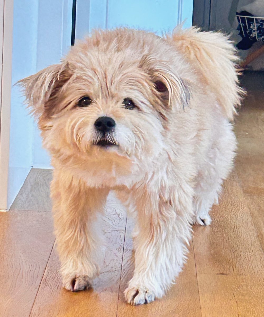 너무귀여워서 안올릴수가업섯다