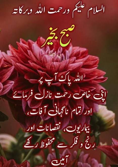 Khaled Jabbar tweet media